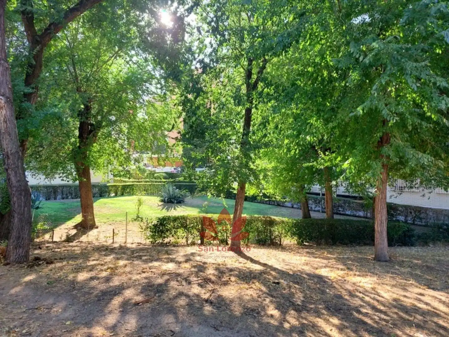 Jardín de Piso en venta en Madrid