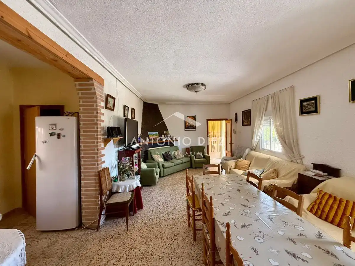 Sala d'estar de Casa o xalet en venda en Aspe amb Terrassa