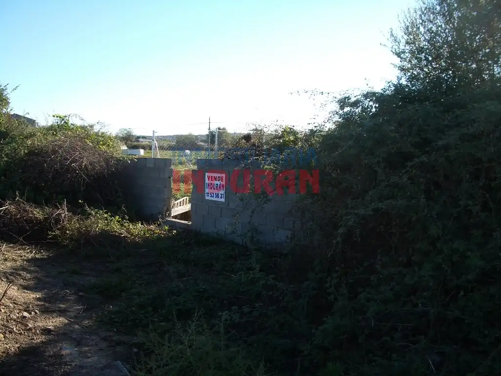 Terreni e lotti in vendita a Saucedilla, imagen 11