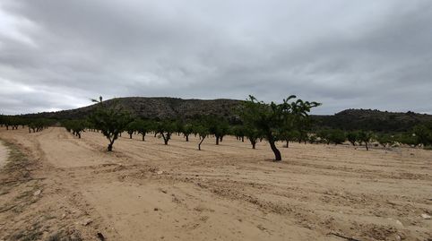 Photo 4 of Land for sale in N/a, -1, Sax, Alicante