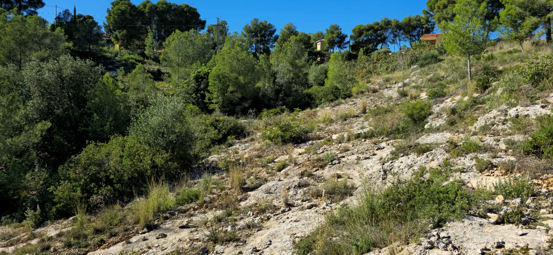 Wohnbaugrundstück zum Verkauf in Calle C/2 Lloma Molina 31, imagen 36