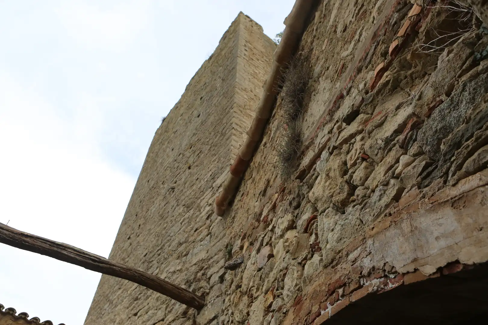 Vista exterior de Finca rústica en venda en Begur amb Jardí privat
