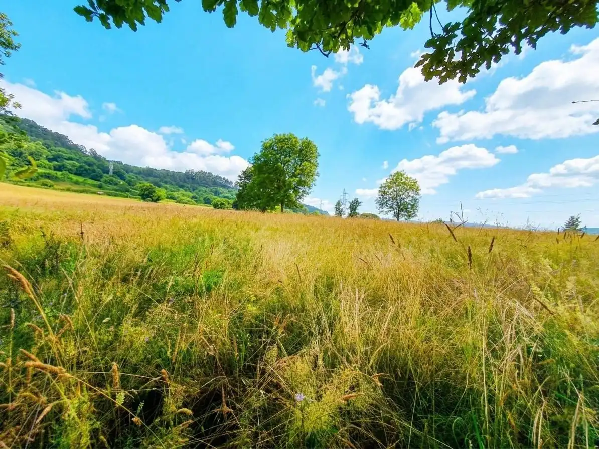 Residential land for sale in Grado