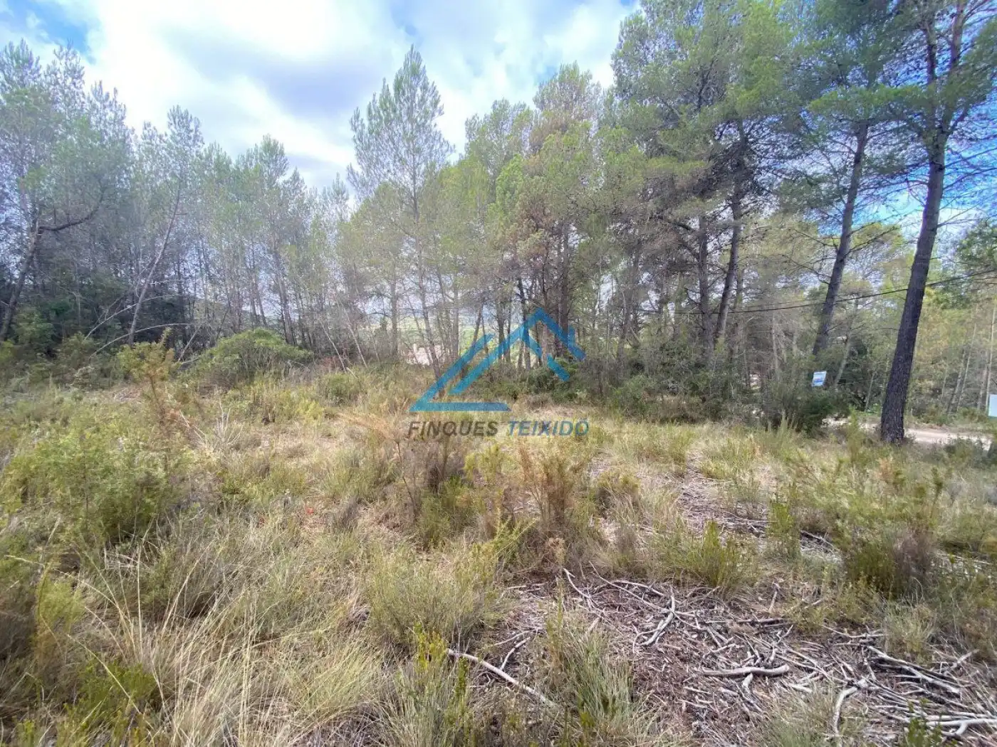 Residential land for sale in Urbanizacion Urbanizacion MOIXETA XLII, 15, puerta C, imagen 9