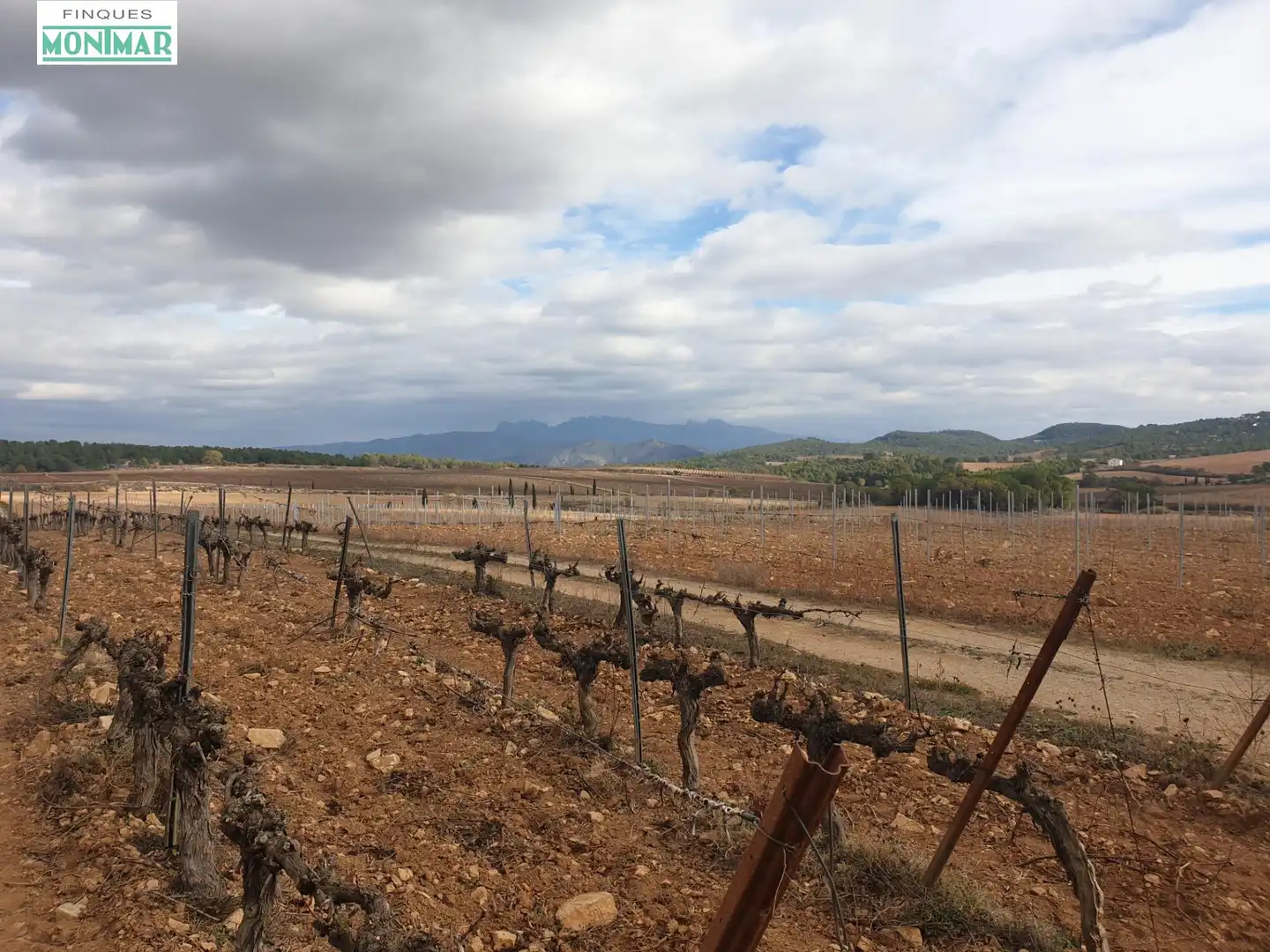 Finca rústica en venda en Vilafranca del Penedès