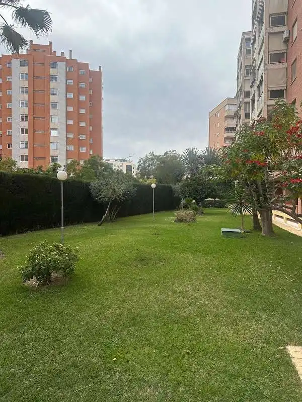 Flat for rent in Alicante / Alacant, Alicante