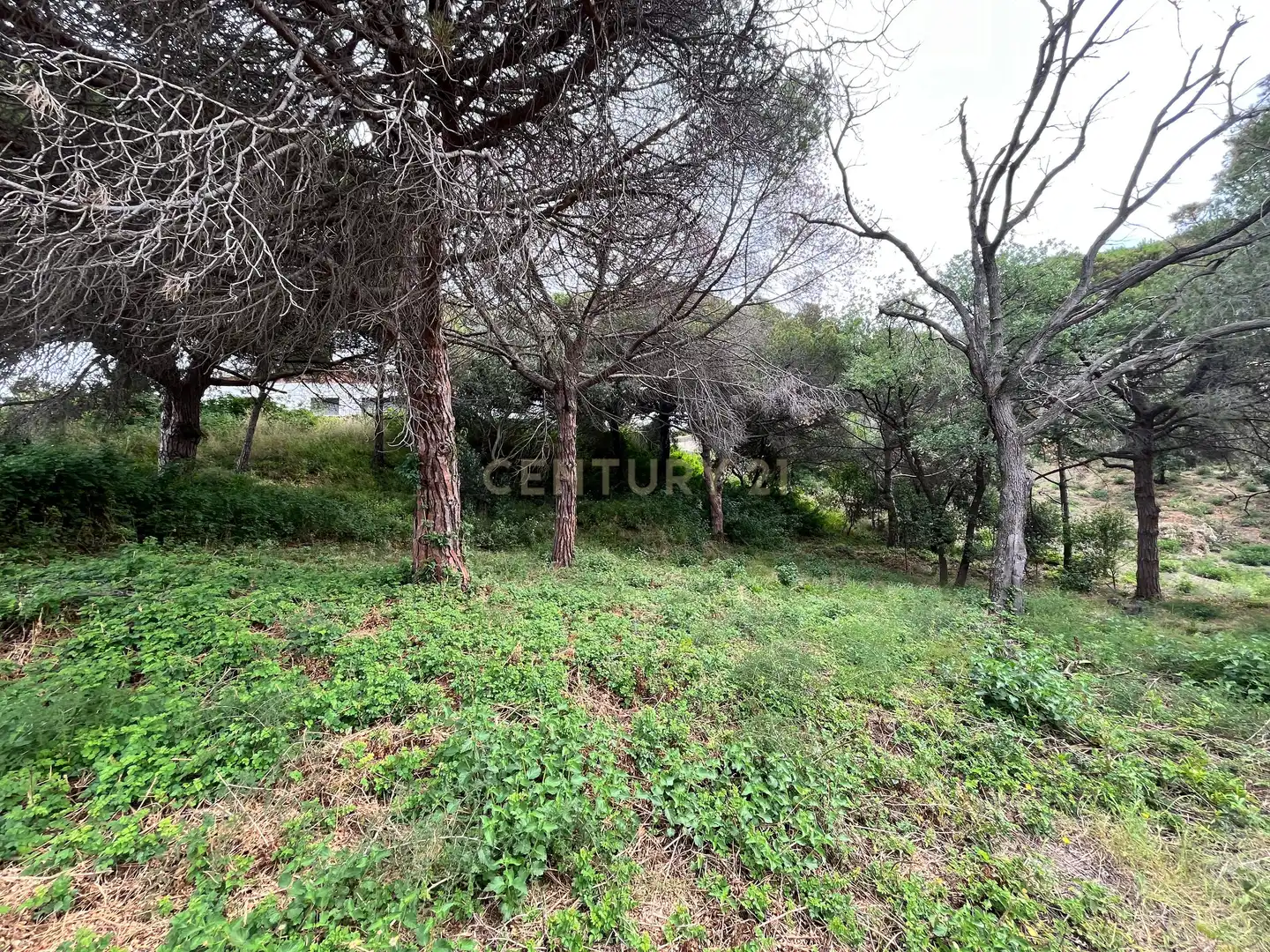 Residencial en venda en Mataró