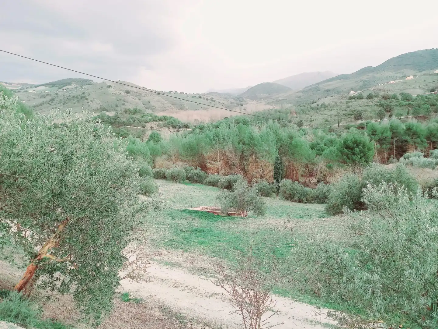 Terreni e lotti in vendita a Alhama de Granada, imagen 2
