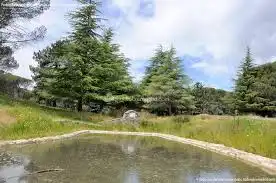 Rural land for sale in Cadalso de los Vidrios, imagen 13