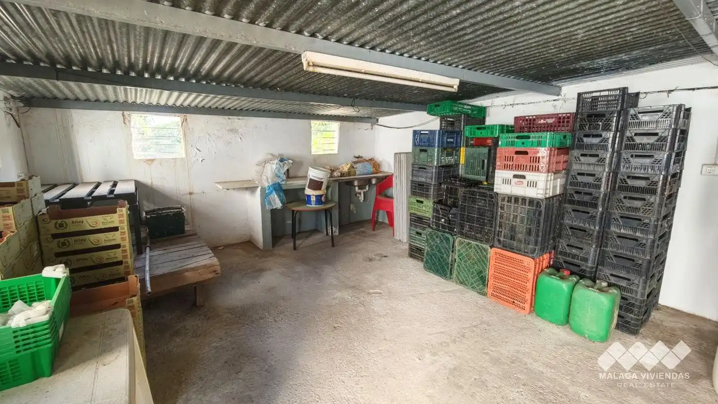 Terreno rústico en venta en Diseminado Atalaya Baja, imagen 24