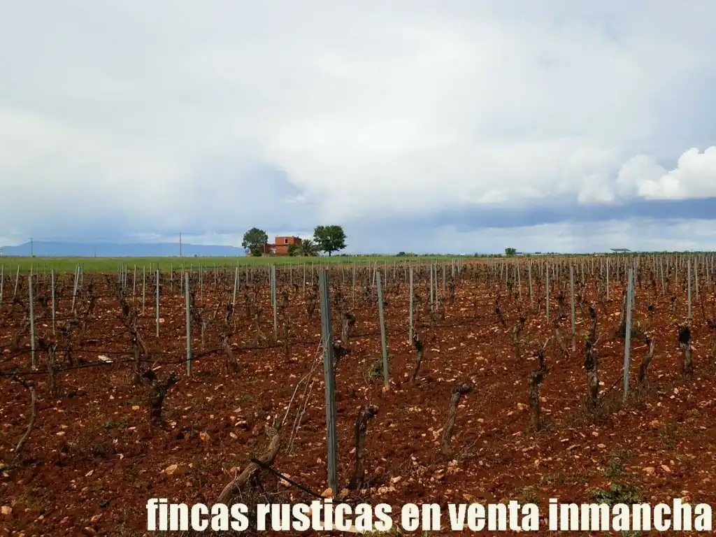 Terreno rustico in vendita a Pozuelo de Calatrava, imagen 14