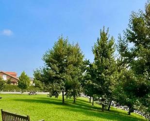 Vista exterior de Planta baixa en venda en Reocín amb Calefacció, Jardí privat i Terrassa