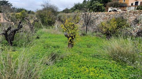 Foto 5 de Terreno en venta en Partida Molí, 38, Finestrat Pueblo, Finestrat