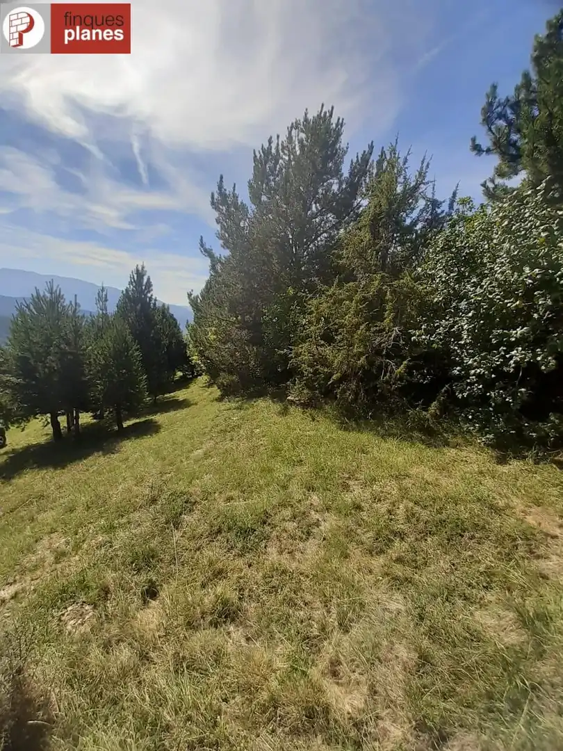 Houses for sale in Les Valls de Valira  with Private garden and Furnished