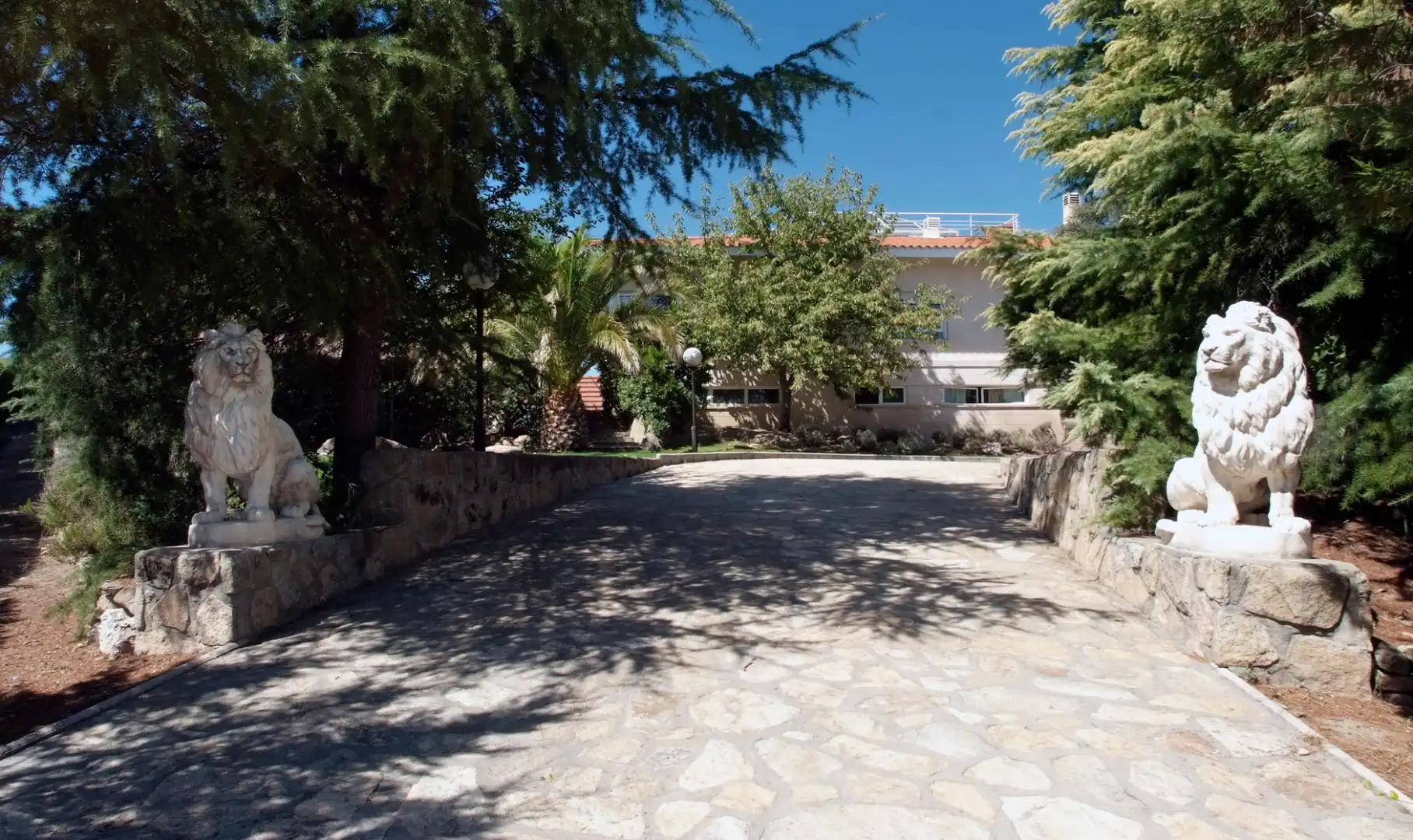 Vista exterior de Casa o xalet en venda en Ciudalcampo amb Jardí privat, Piscina i Jacuzzi