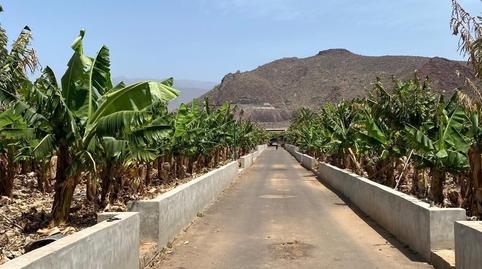 Foto 2 de Finca rústica en venta en Guaza, Santa Cruz de Tenerife