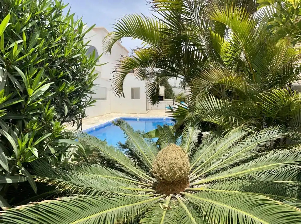 Swimming pool of Houses for sale in La Oliva  with Private garden, Terrace and Storage room