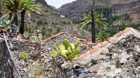 Foto 4 de Finca rústica en venta en Camino las Gavetas, Valle Gran Rey, Santa Cruz de Tenerife