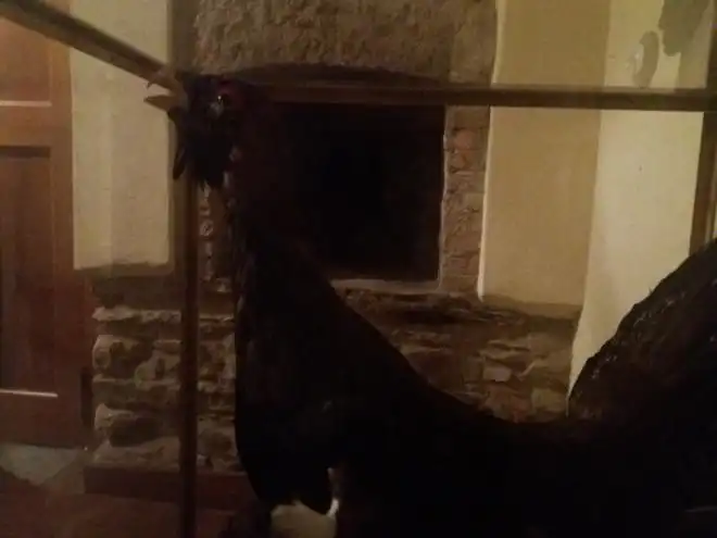 Casa o xalet en venda en Cudillero amb Moblat