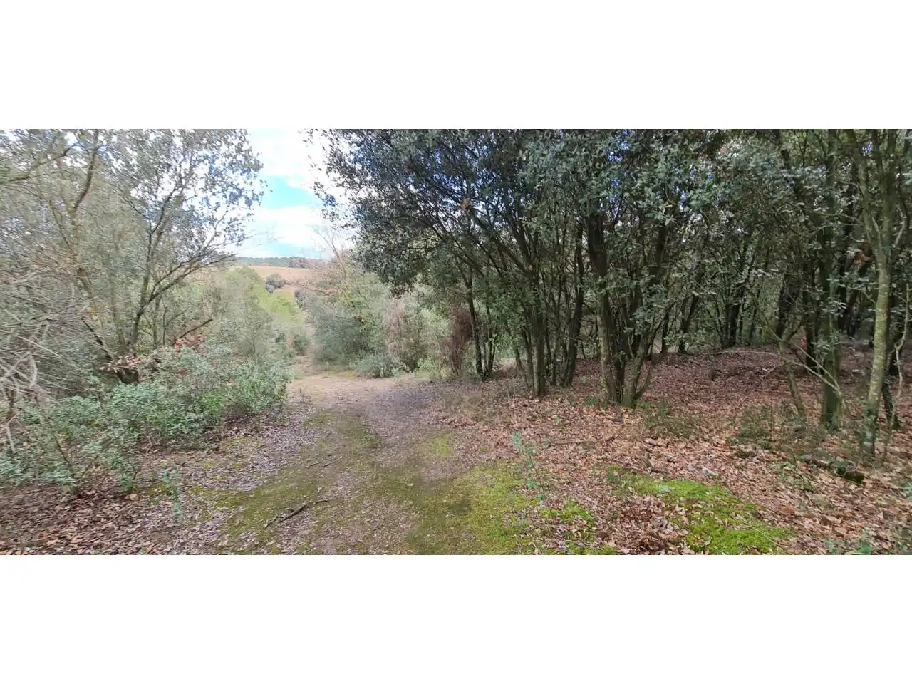 Rural land for sale in Lliçà d'Amunt, imagen 11