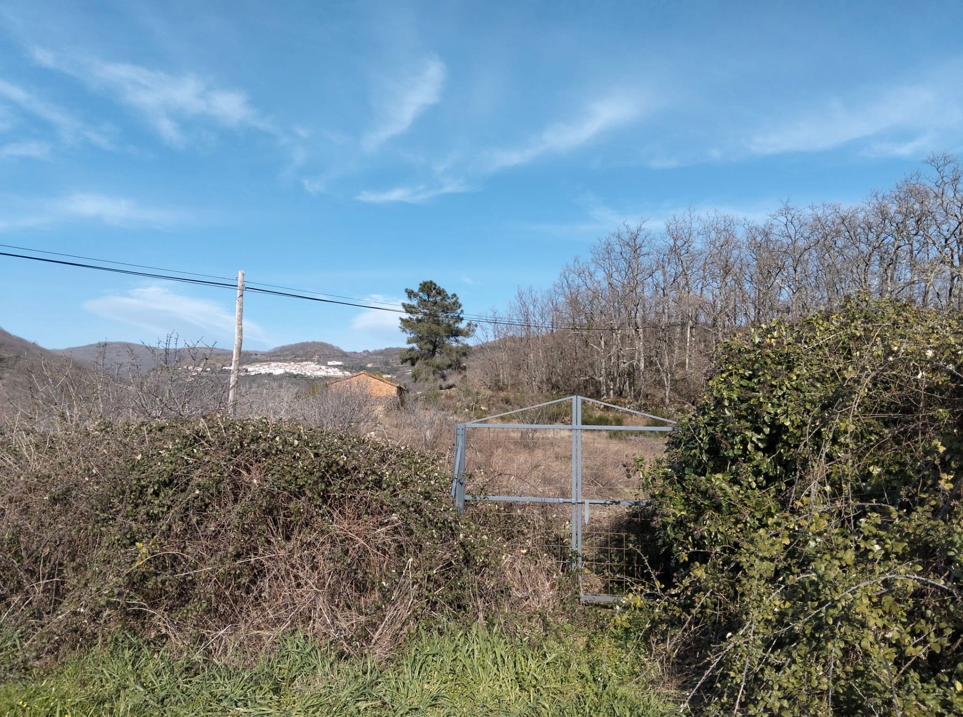 Terreno en venta en Barrado