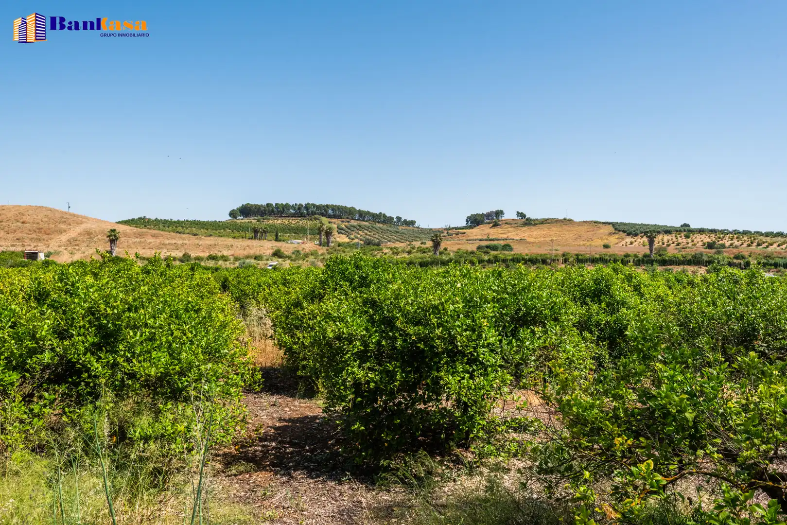 Terreno en venta en Pizarra