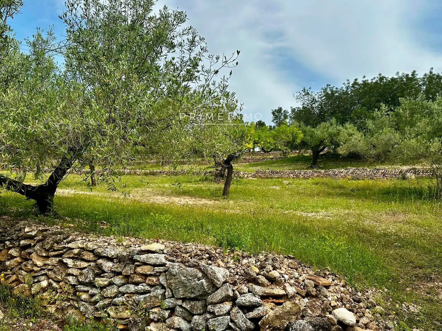 Terreno rústico en venta en Tivissa, imagen 63
