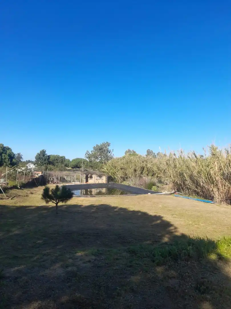 Maison avec piscine à vendre à Lepe, imagen 4