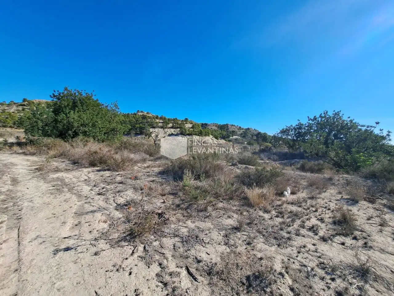 Terreny residencial en venda a Partidas de Alicante, imagen 17
