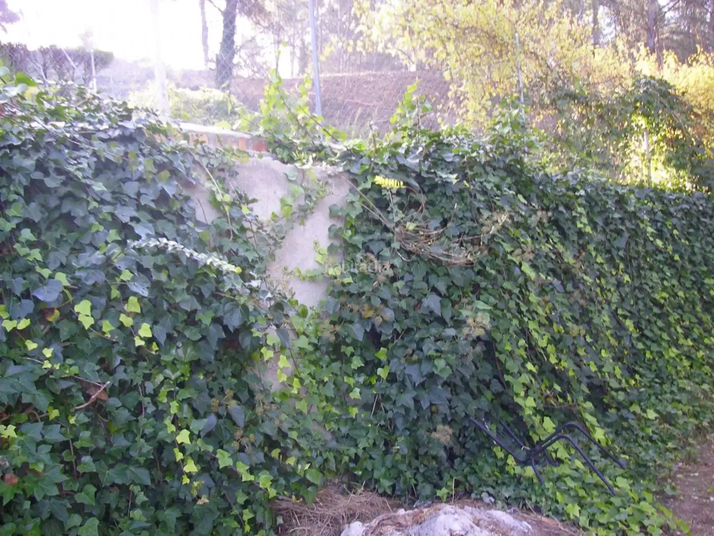 Residential land for sale in Carrer Riera Claret 3, imagen 18