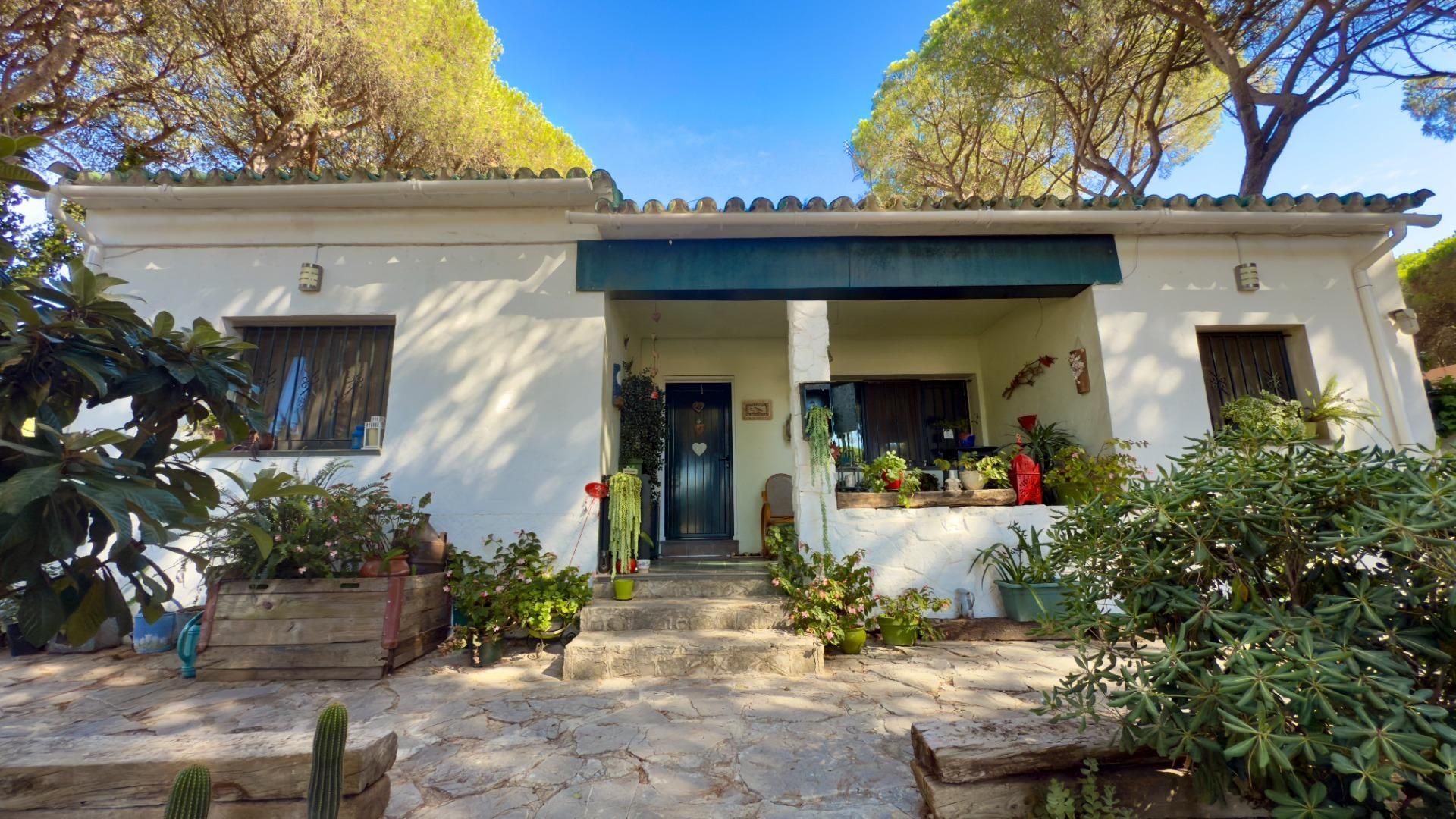Vista exterior de Casa o chalet en venta en Chiclana de la Frontera con Aire acondicionado, Jardín privado y Terraza