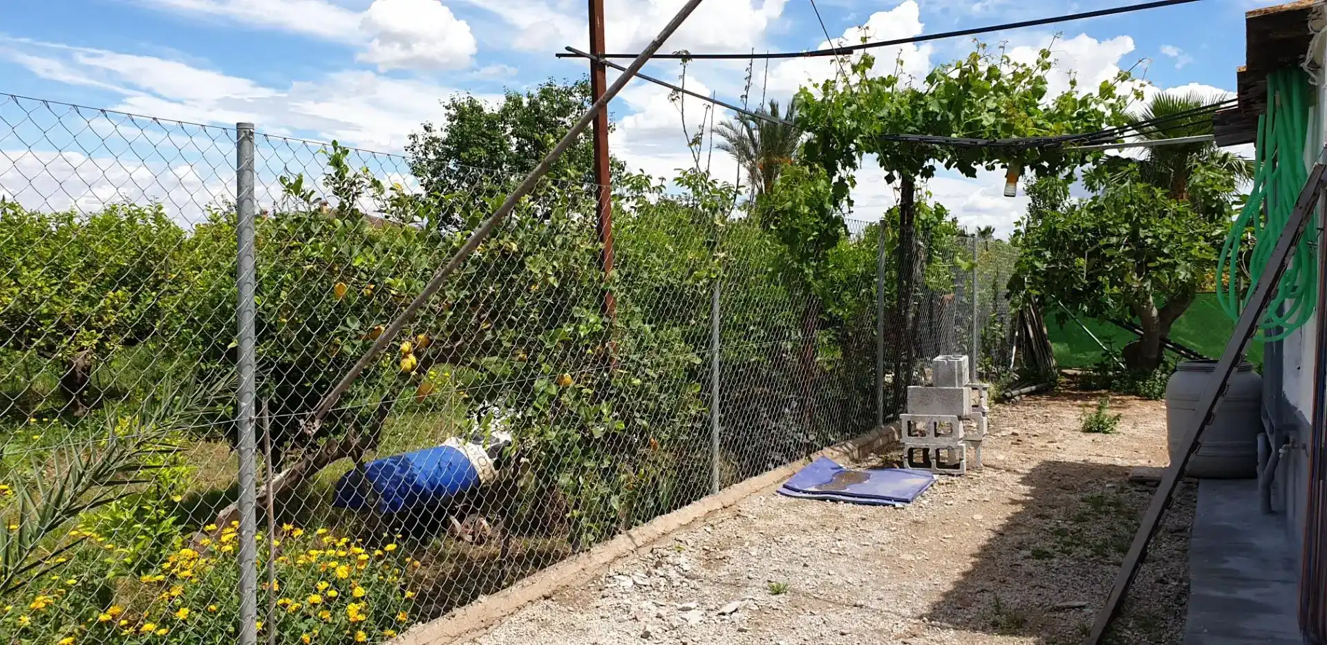 Casa o xalet en venda en  Murcia Capital