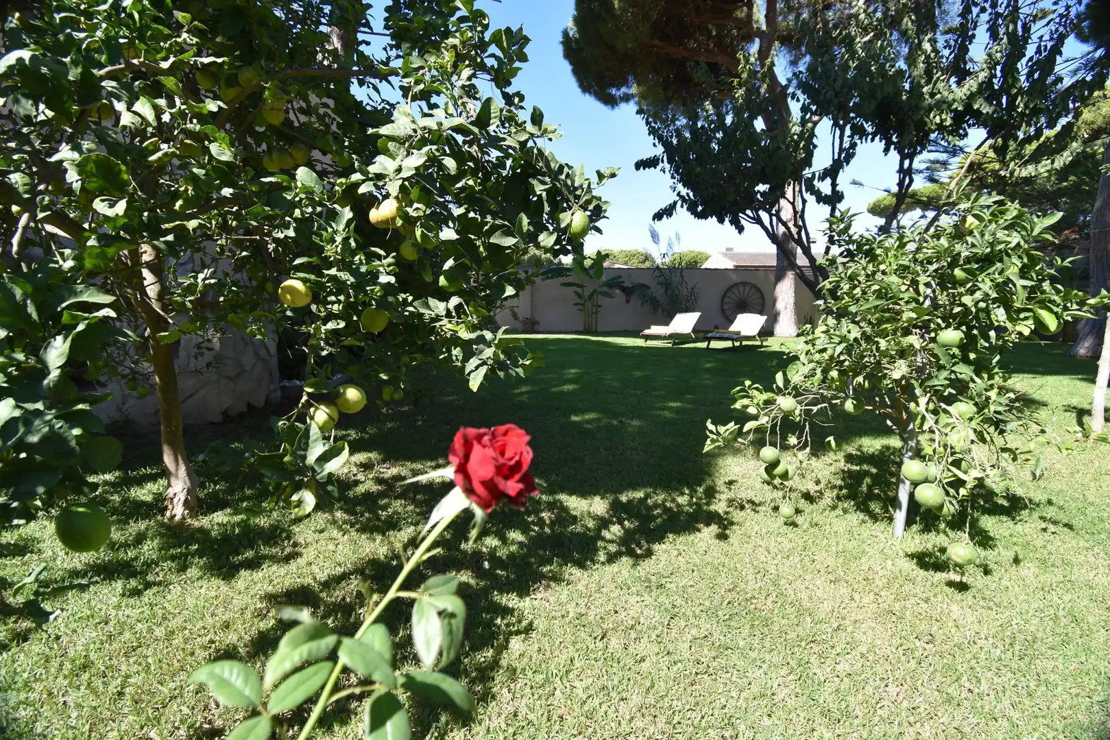 Casa en venda a Las Lagunas - Campano, imagen 65