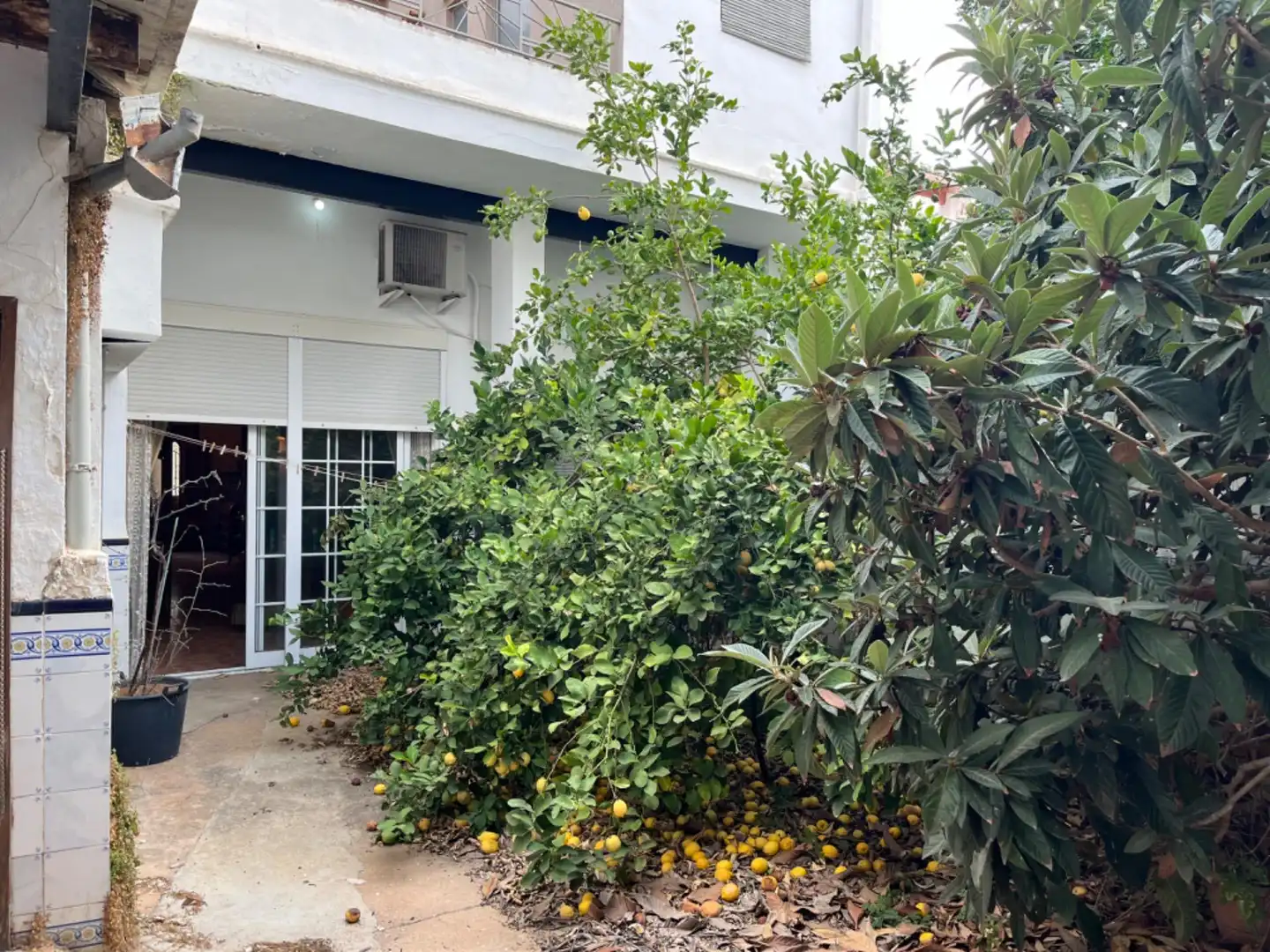 Jardín de Casa o chalet en venta en Alcàsser con Jardín privado, Terraza y Trastero