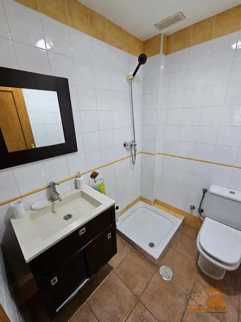 Detached homes for rent in Altorreal - El Chorrico