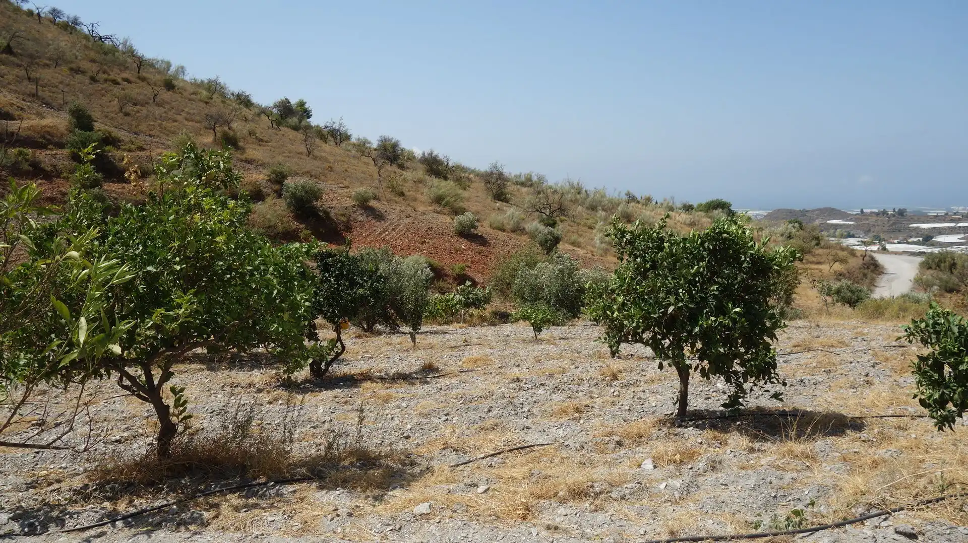 Finca rústica en venda en Motril amb Terrassa i Moblat