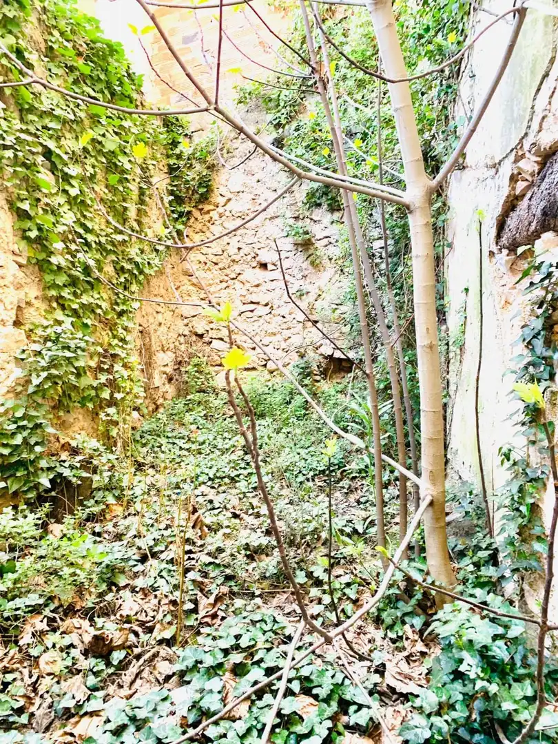 Casa rustica in vendita a Tivissa, imagen 13