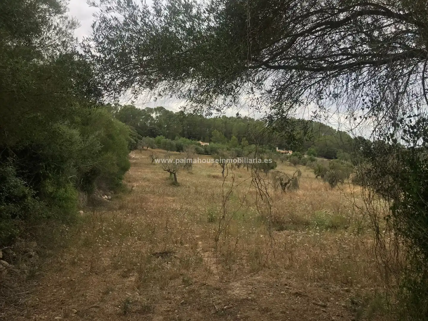 Finca rústica en venta en Maria de la Salut con Calefacción y Terraza
