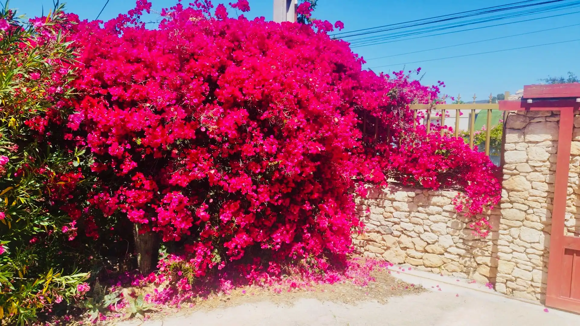 Villa mit Garten zum Verkauf in Sant Antoni de Portmany, imagen 5
