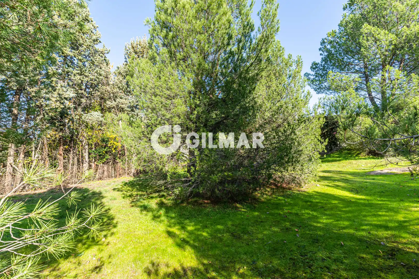 Casa o xalet en venda en Monte Rozas