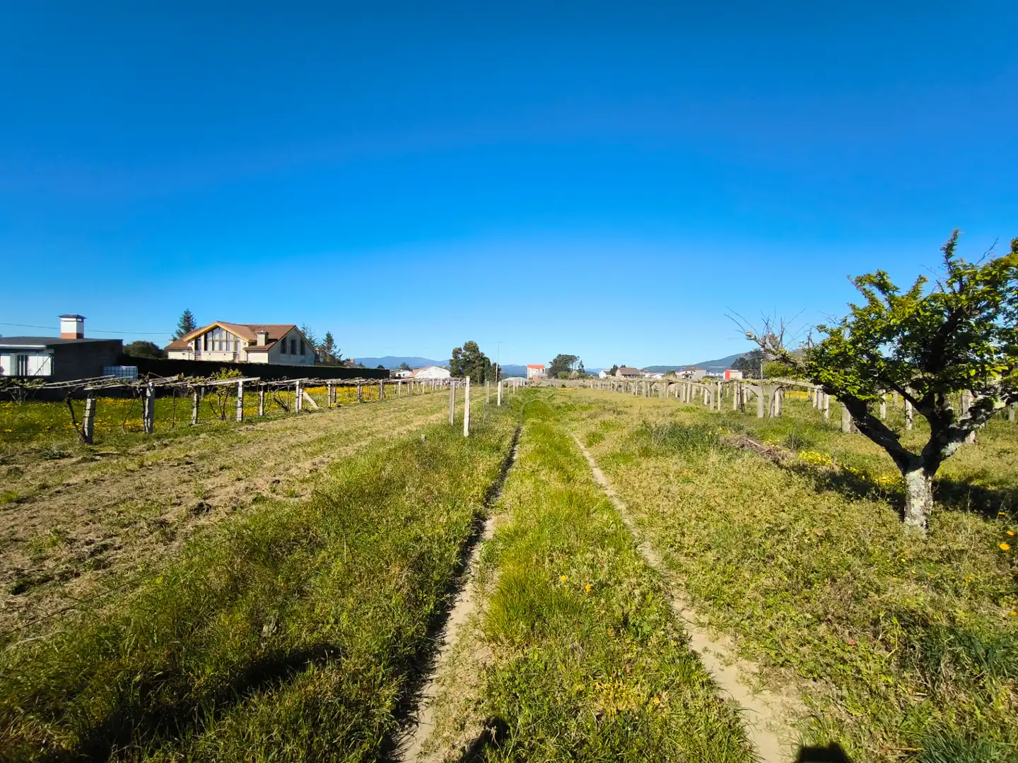 Residential for sale in Vilanova de Arousa