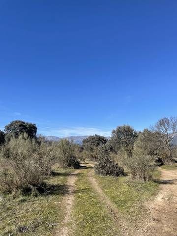 Terreno en Venta en Fresnedilla