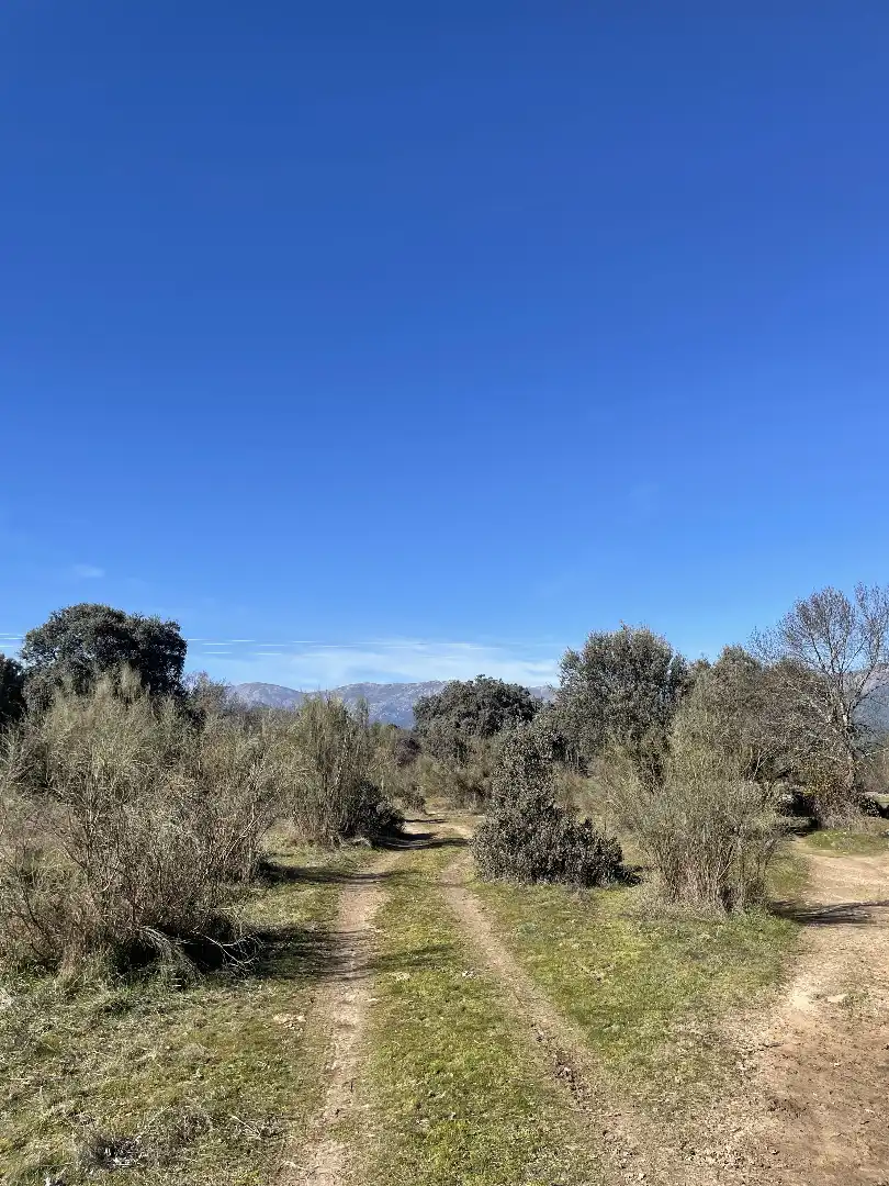 Terreni e lotti in vendita a Fresnedilla