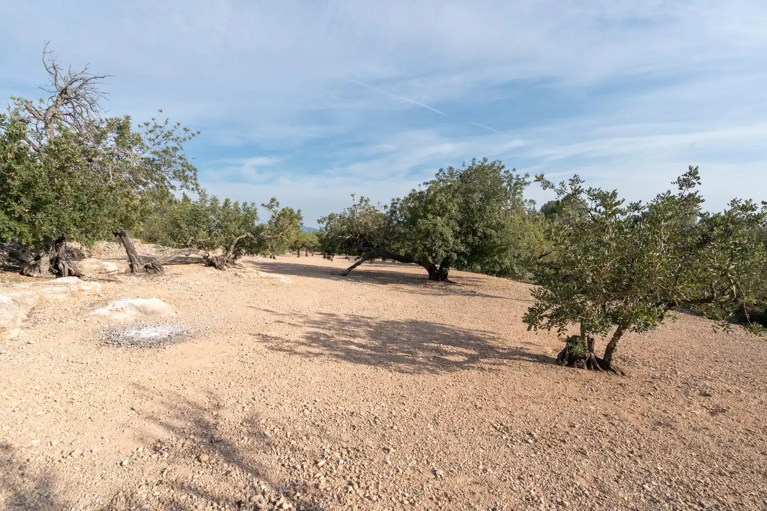 Terreno rustico in vendita a Jesús - Els Reguers
