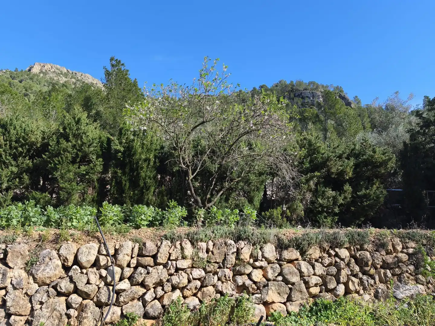 Casa con jardín en venta en Alfara de Carles, imagen 25