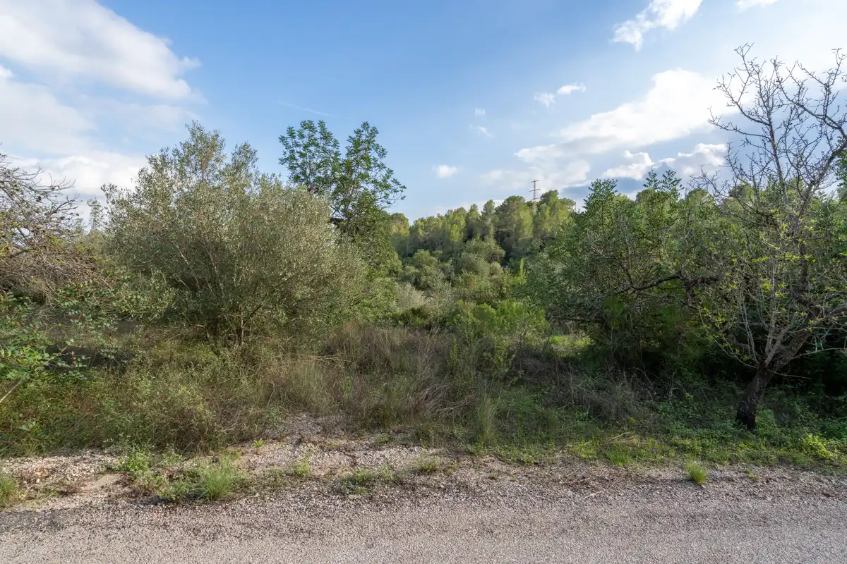 Terreno rustico in vendita a Camí Vell del Cementiri 1, imagen 6