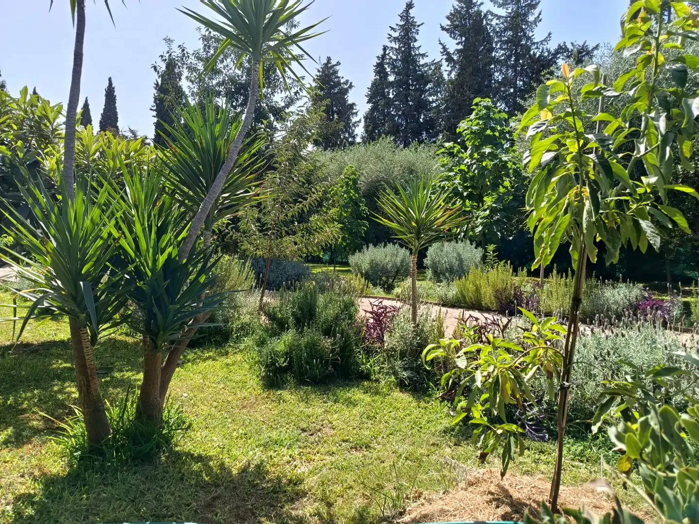 Villa avec piscine à louer à Urbanizacion el Campillo, imagen 2