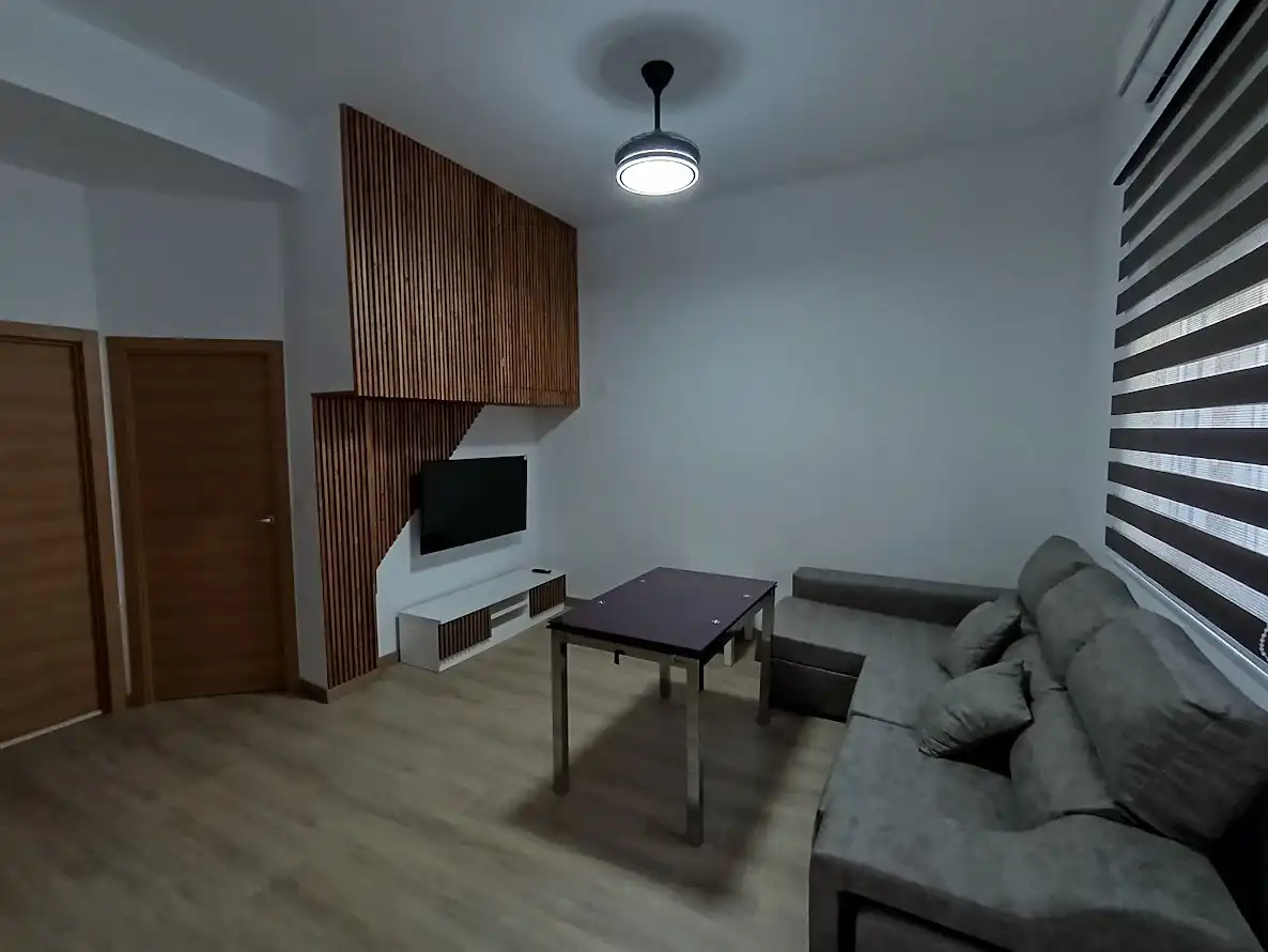 Sala d'estar de Estudi de lloguer en Granada amb Moblat
