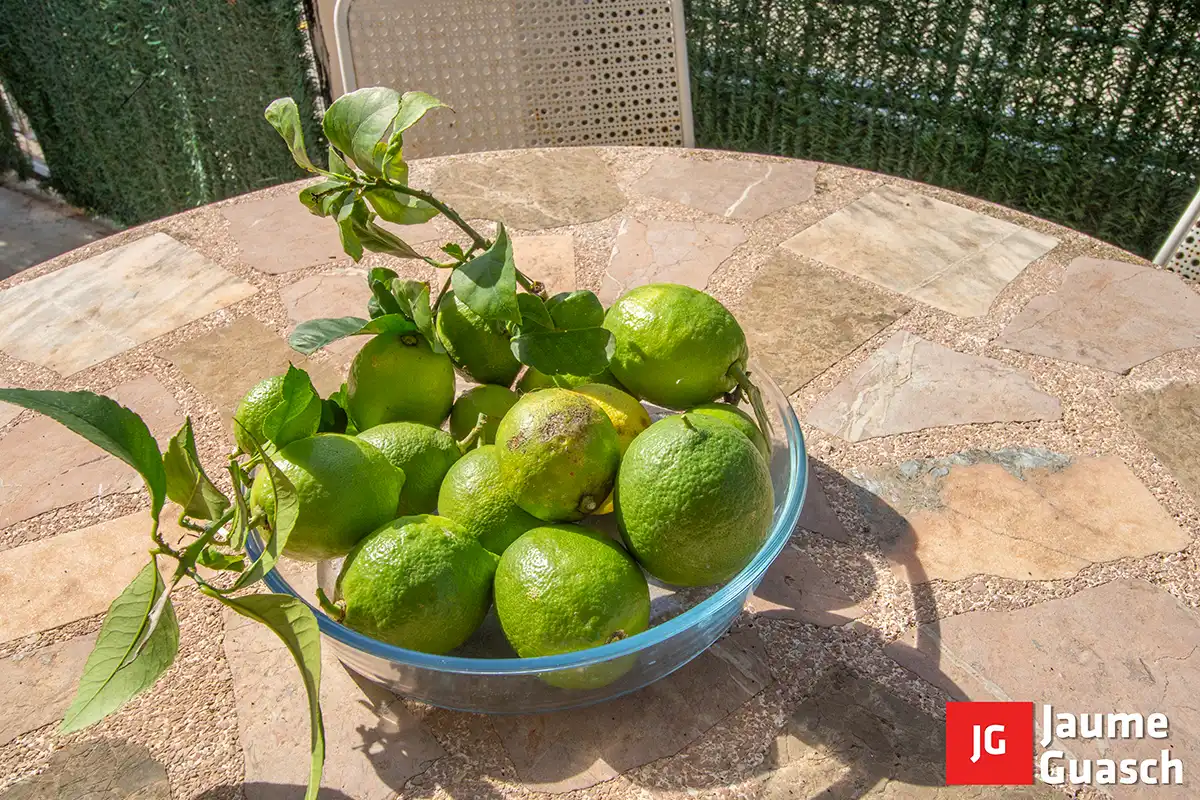 Balcony of Ground floor for sale in Sant Jordi