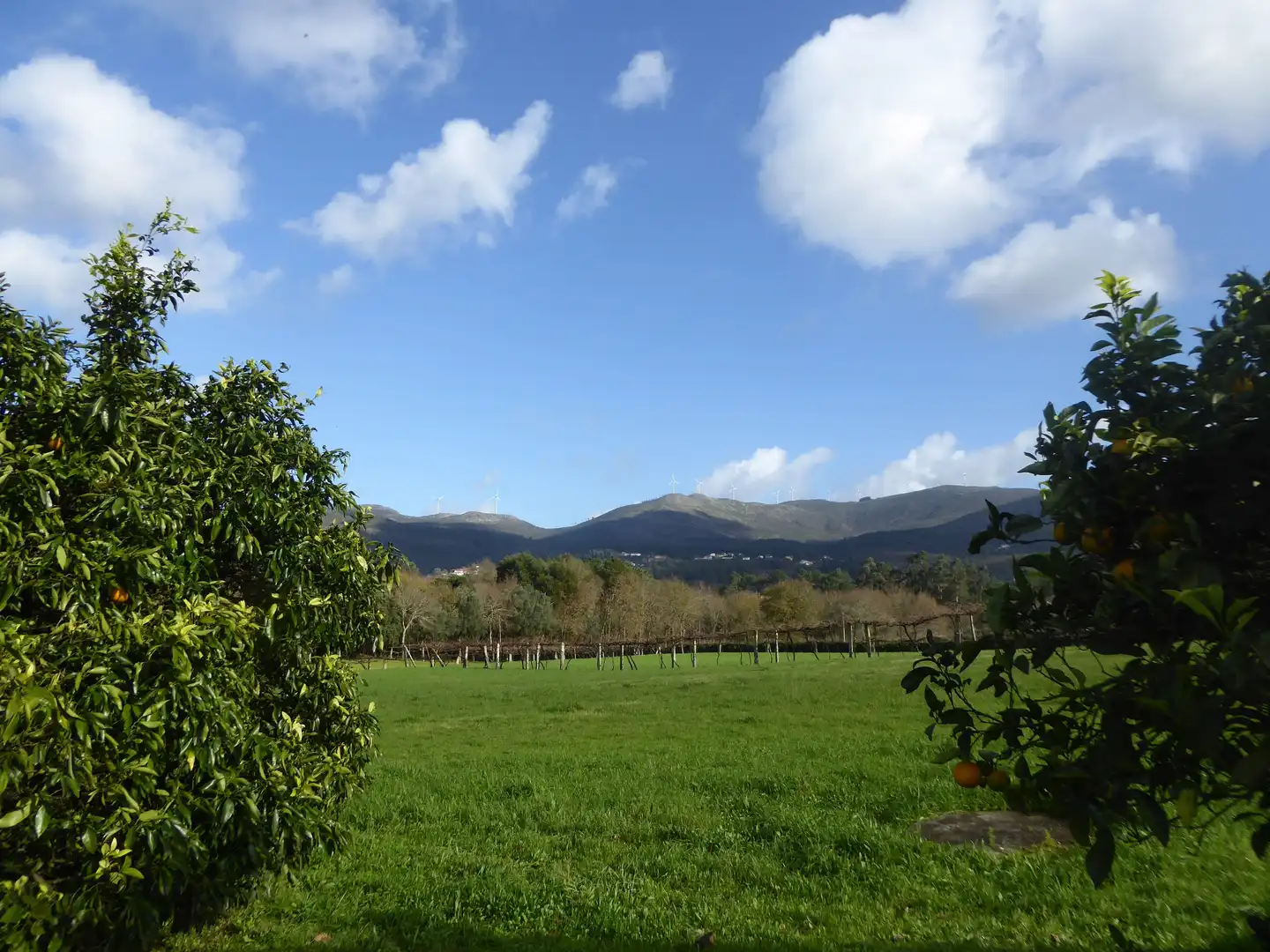 Garten von Country house zum Verkauf in Tui mit Klimaanlage, Heizung und Privatgarten